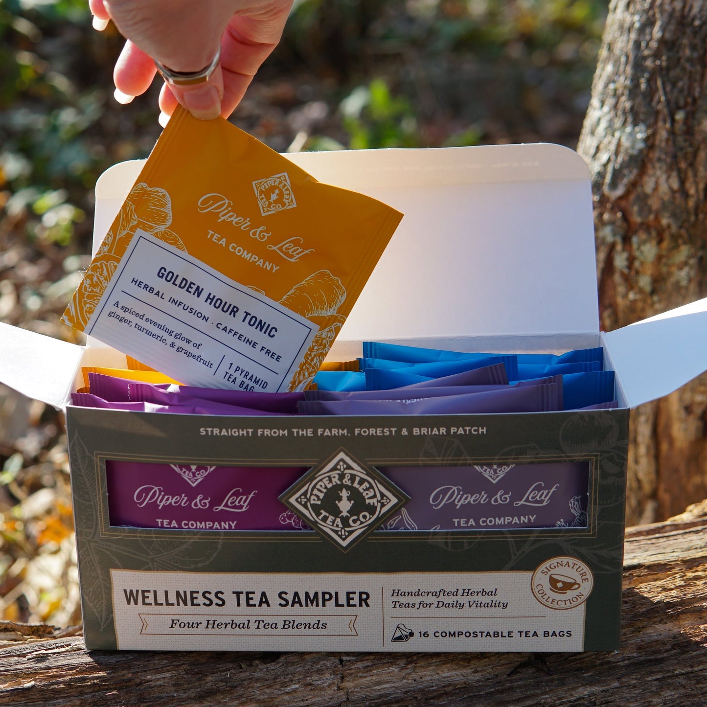 Piper and Leaf Tea Co. wellness tea sampler box with 16 assorted tea bags, showcasing colorful packaging and individual tea sachets.