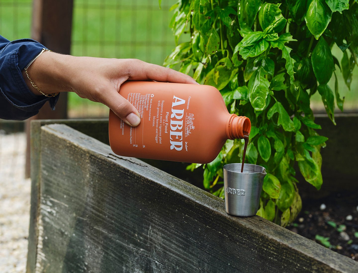 A person pours Arber Organic Plant Food from an orange bottle into a small metal cup beside a basil plant growing in a raised garden bed.