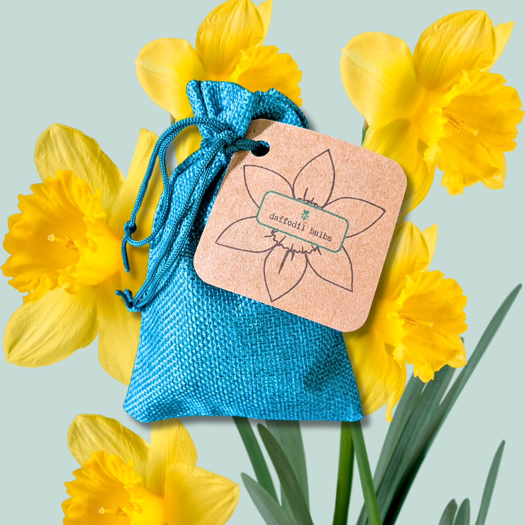 A blue drawstring pouch with a brown tag labeled “Mini Daffodil Bulbs” by Plantflix, surrounded by bright yellow flowers—ideal for adding vibrant, low-maintenance blooms to your garden. Set on a light green background.