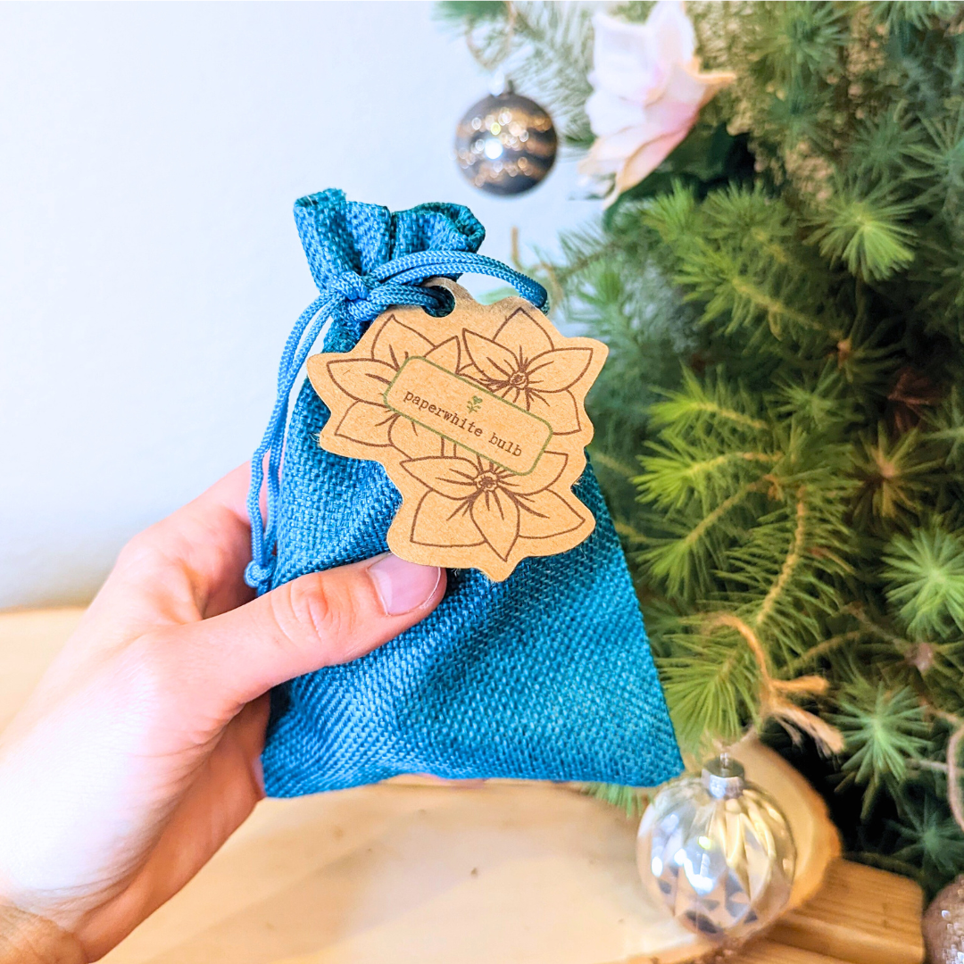 A hand holds a small blue drawstring pouch with a wooden flower-shaped tag labeled “Paperwhite Bulb” by Plantflix in front of a decorated Christmas tree, evoking the fresh scent of winter flowers and blooms indoors.