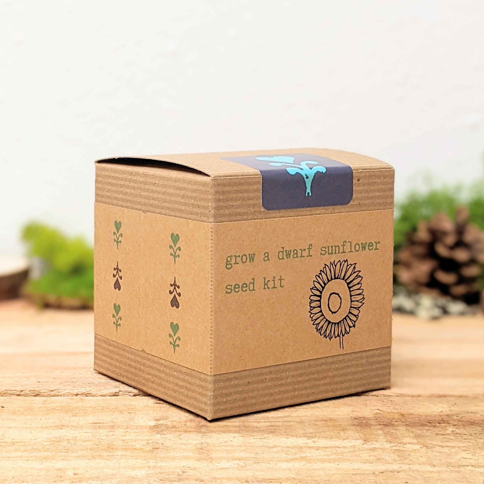 Dwarf Sunflower Beginner Grow Kit - Blessings Grow Meadows -