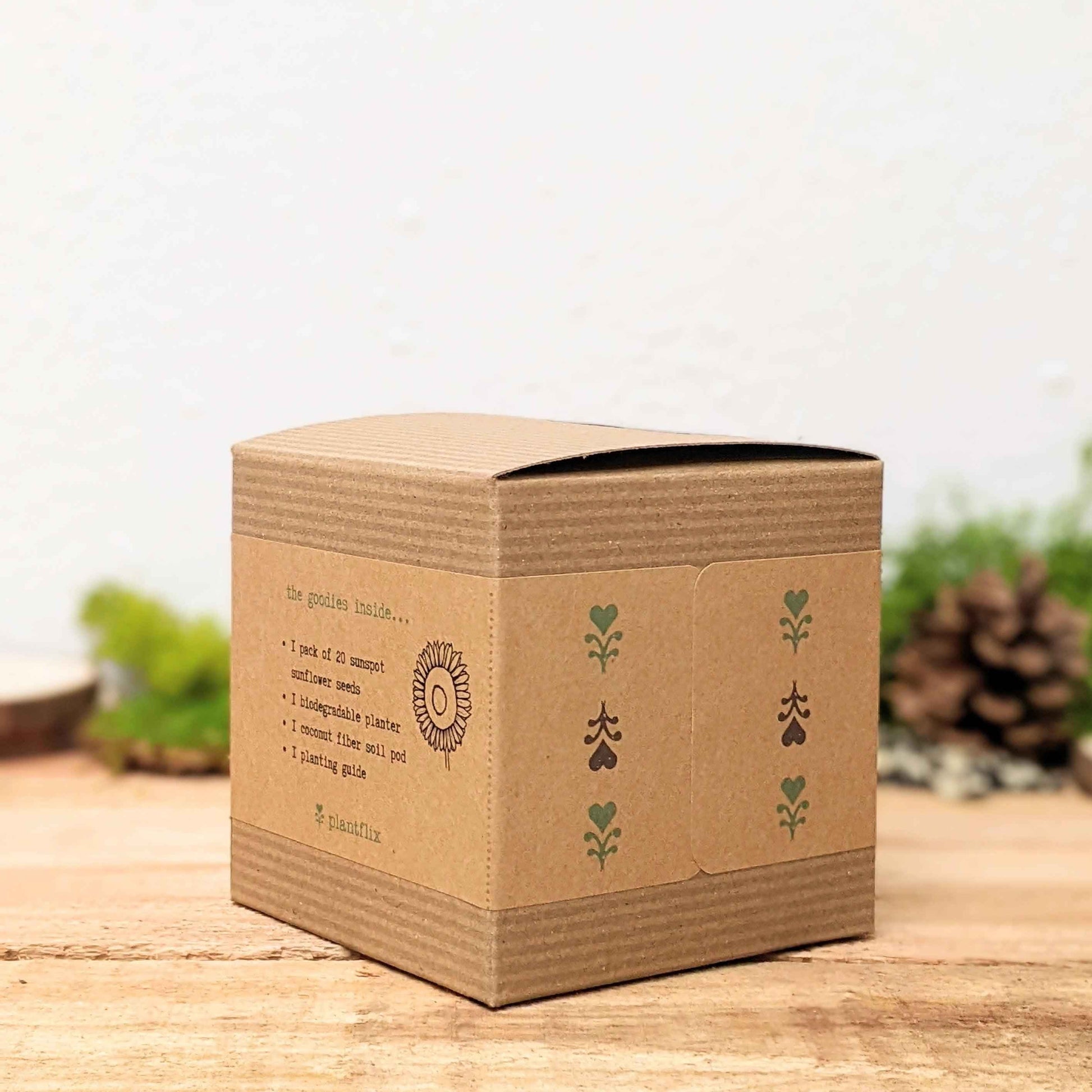 Dwarf Sunflower Beginner Grow Kit - Blessings Grow Meadows -