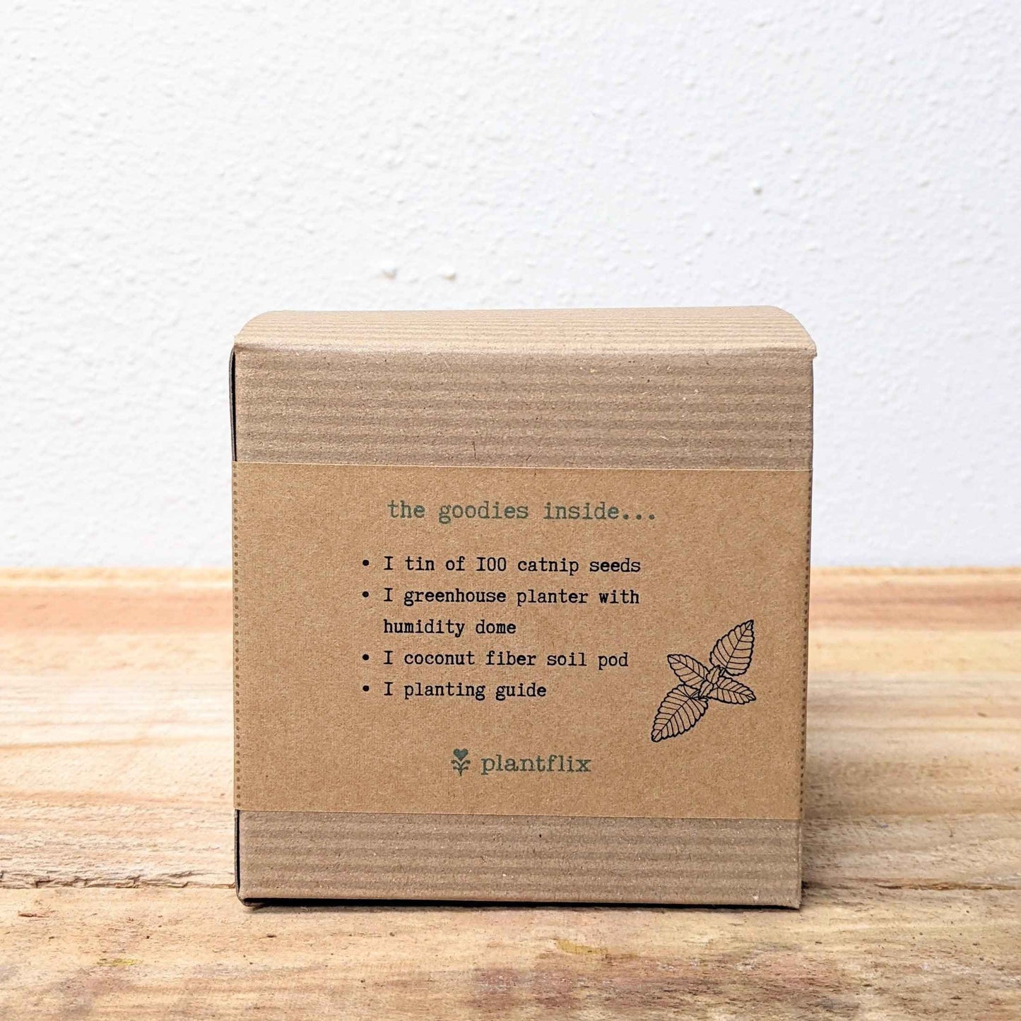 Catnip Beginner Grow Kit - Blessings Grow Meadows -