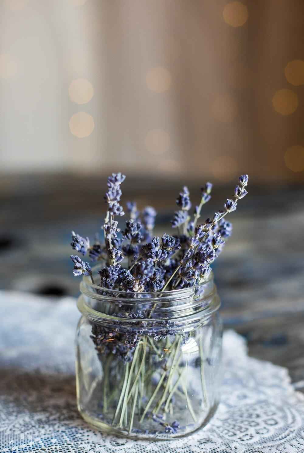 Lavender Seeds - Blessings Grow Meadows -