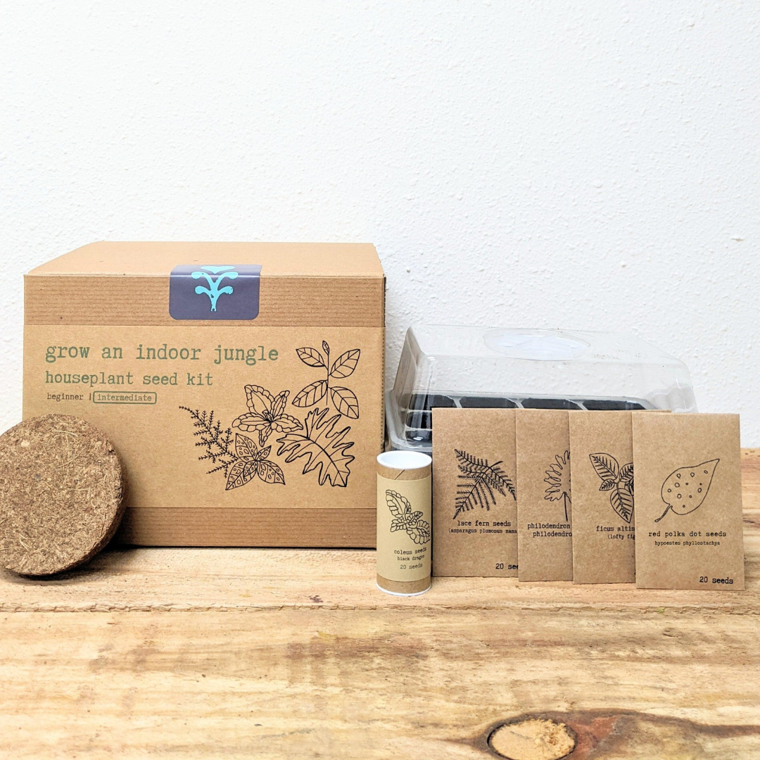Grow an Indoor Jungle Houseplant Seed Kit - Blessings Grow Meadows -