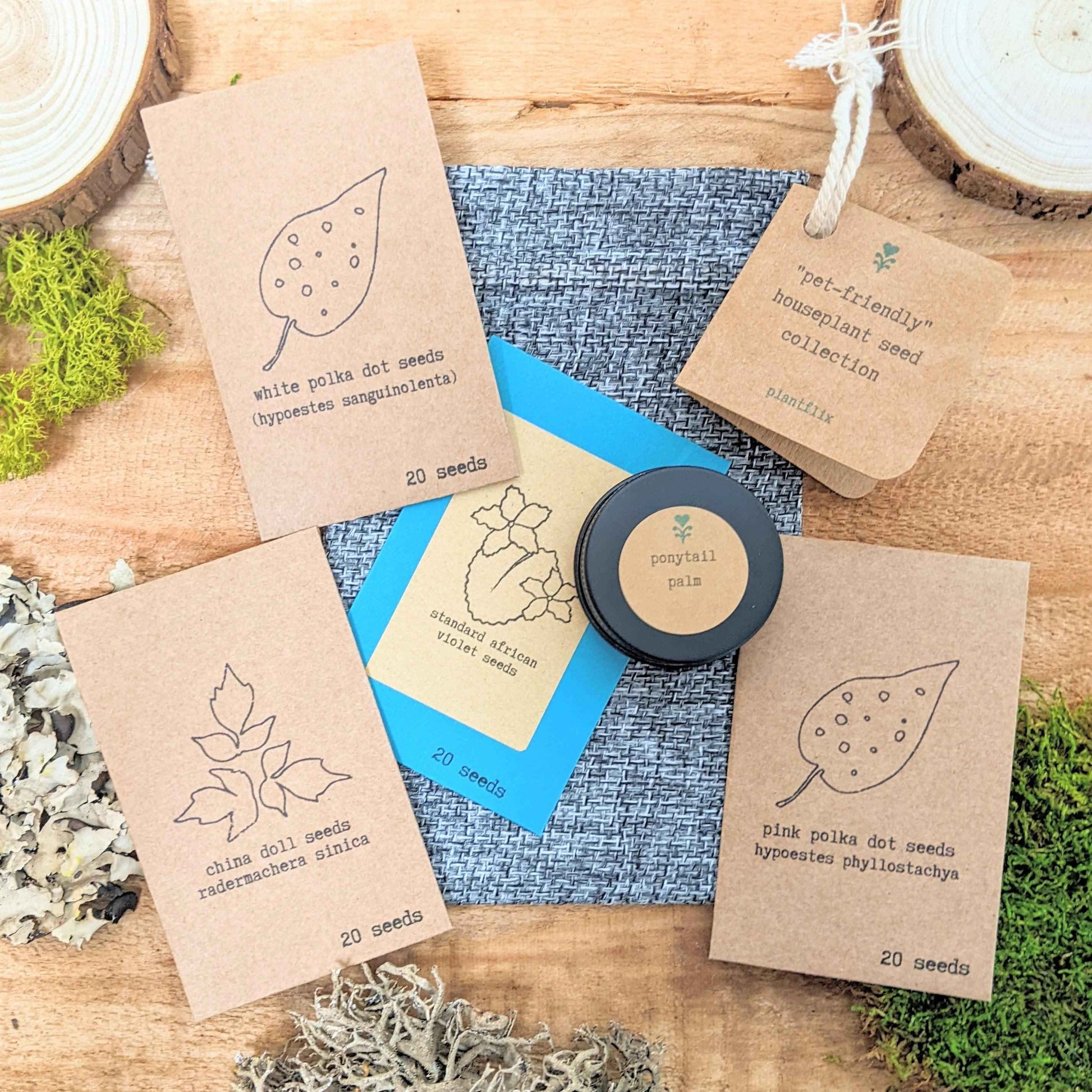 Pet-Friendly Houseplant Seed Collection - Blessings Grow Meadows -