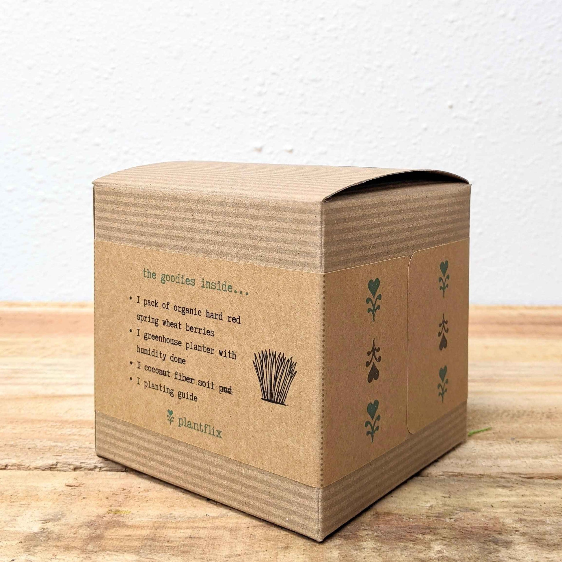 Organic Petgrass Grow Kit with sprouting seeds from Plantflix, showing lush green petgrass ready for pets to enjoy.