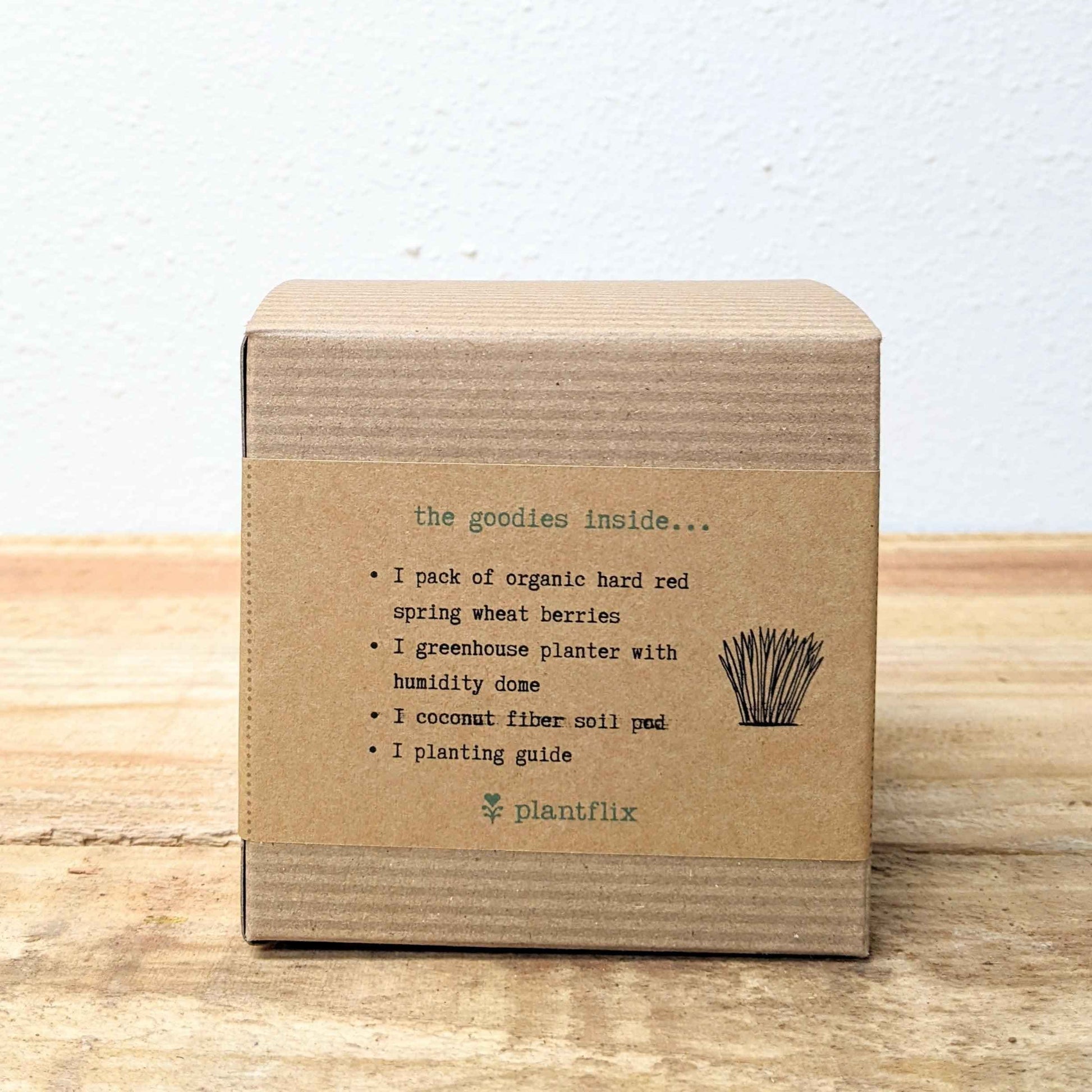 Organic Petgrass Grow Kit with sprouting seeds from Plantflix, showing lush green petgrass ready for pets to nibble.
