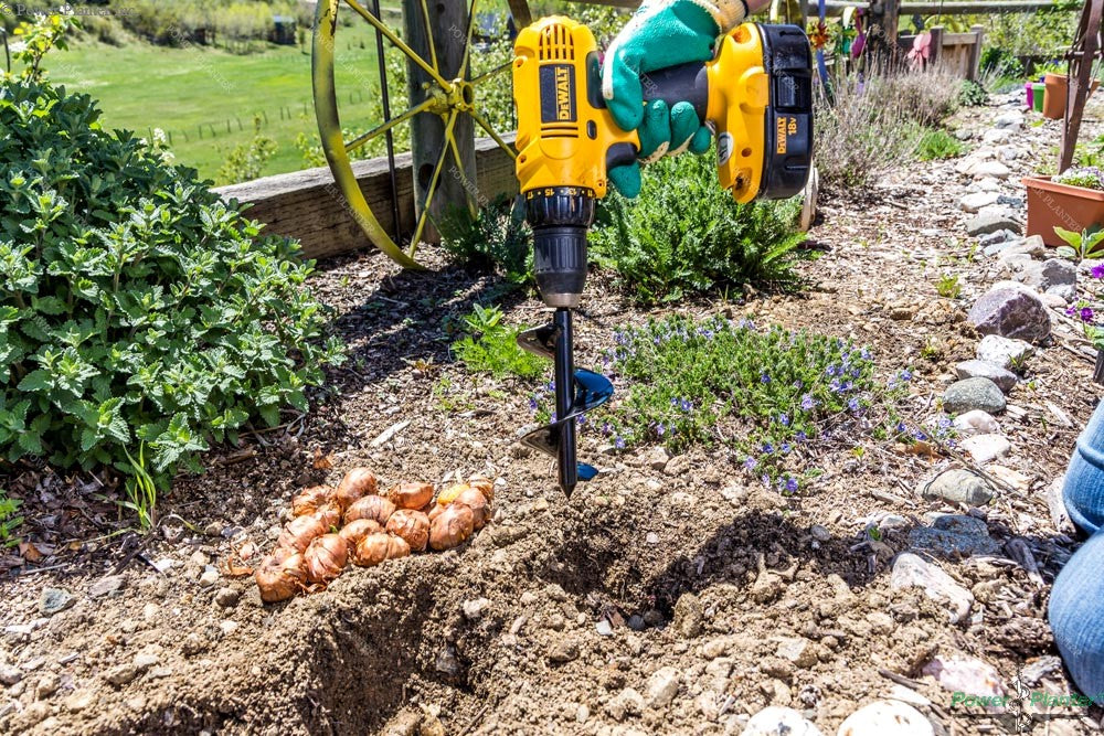 Bulb Planting Auger & Bedding Plant Tool (3" x 7") - Blessings Grow Meadows