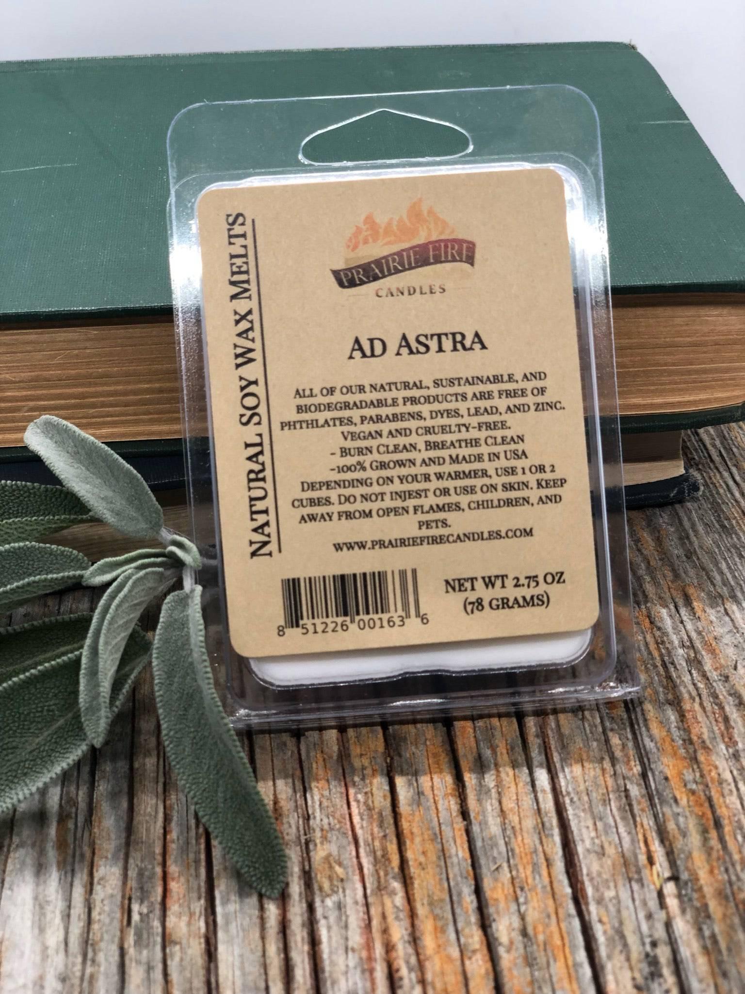 Soy Wax Melts | Wax Cubes | Wickless Candles | Small Batch | Vegan - Blessings Grow Meadows