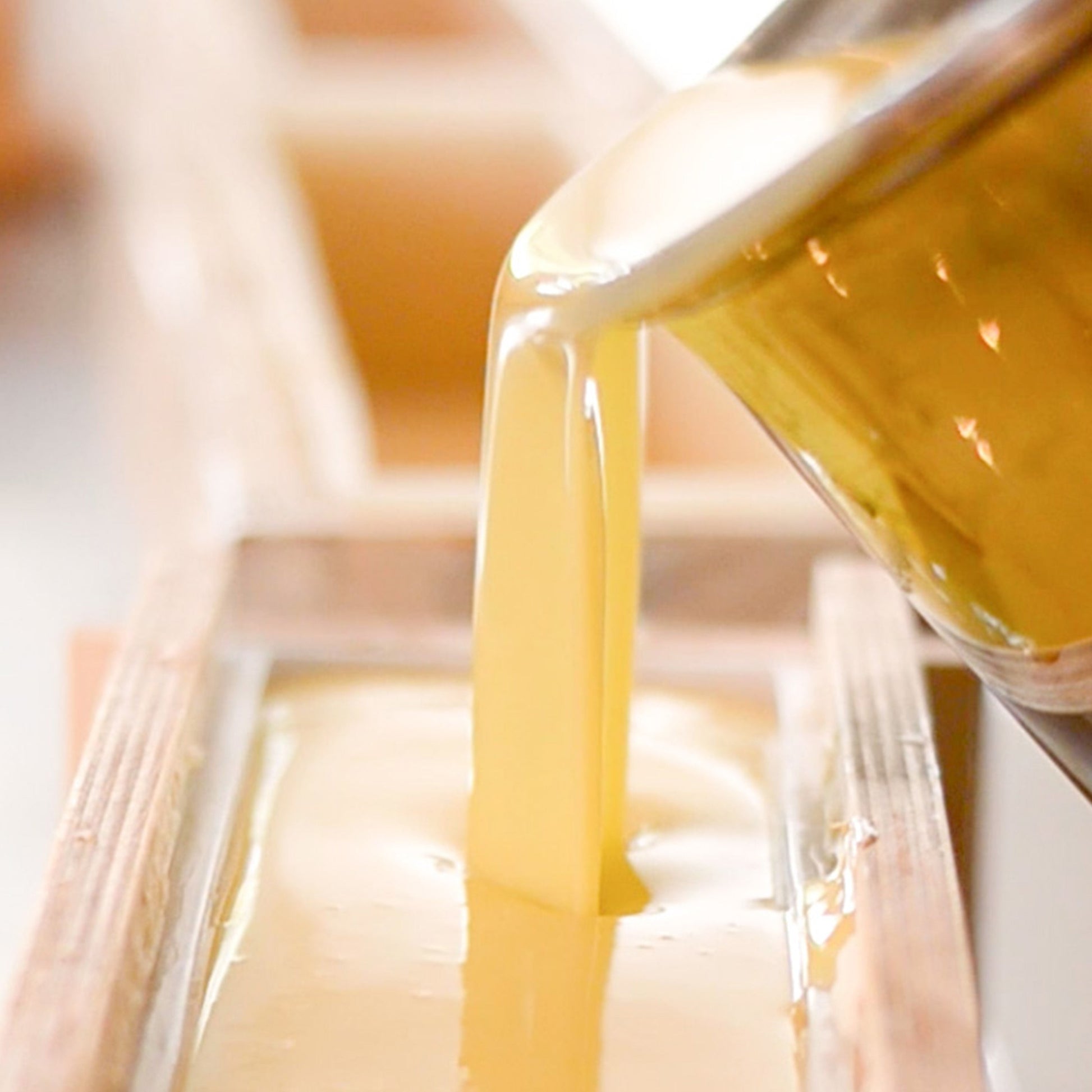 Milk + Honey Fragrance Free Handmade Tallow and Goat Milk Soap Bar - Blessings Grow Meadows