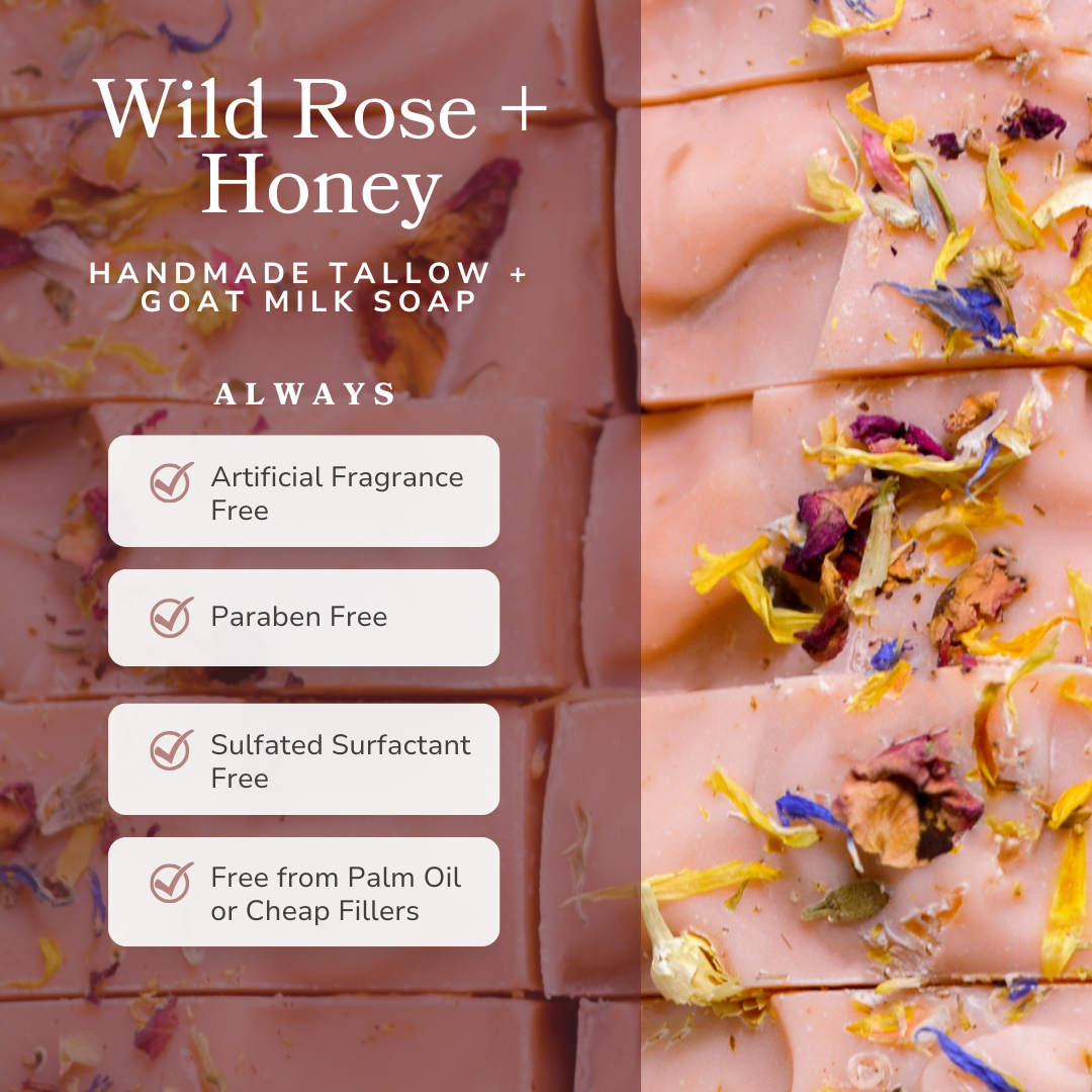 Wild Rose + Honey Handmade Tallow and Goat Milk Soap Bar - Blessings Grow Meadows
