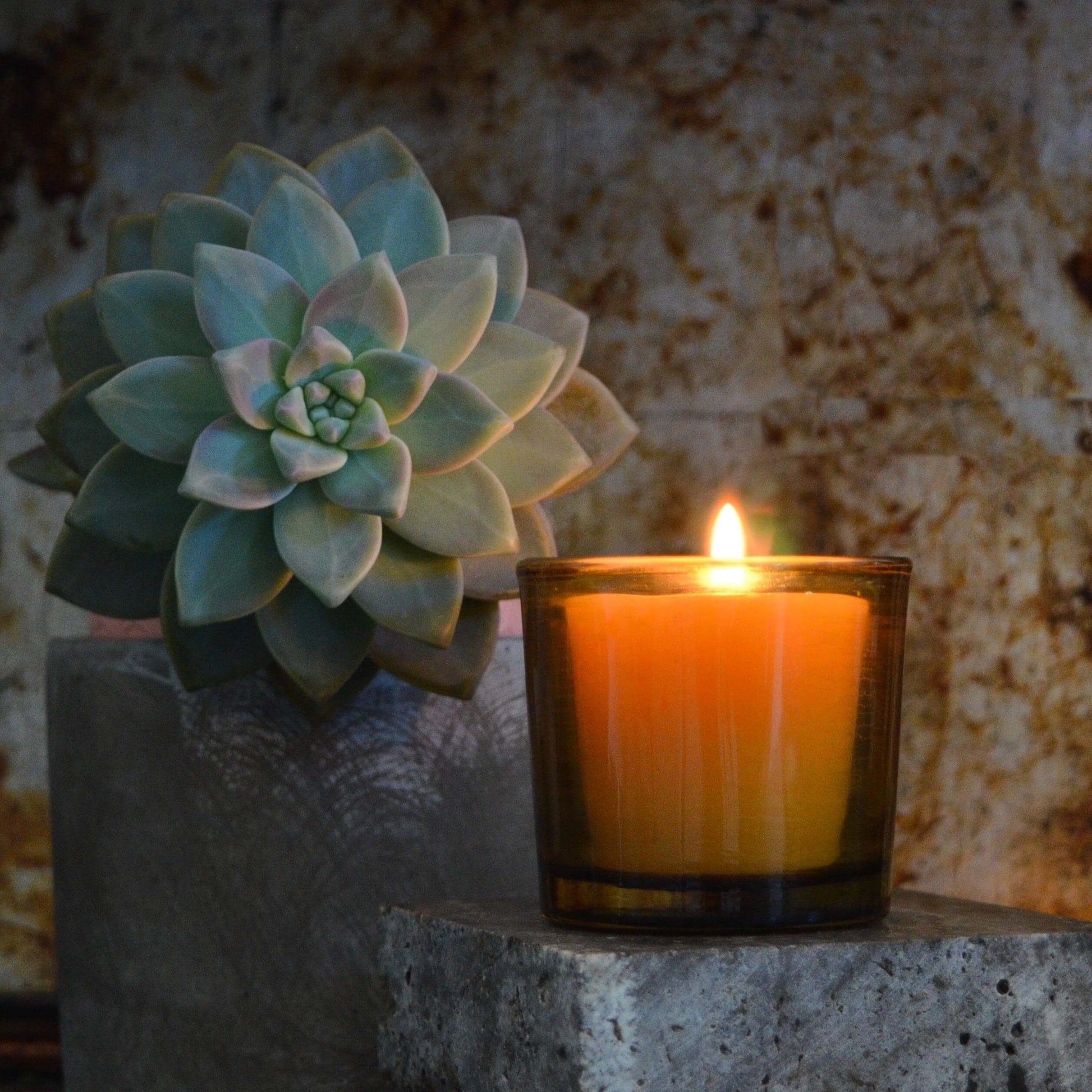 Set of Bluecorn Candles pure beeswax votive candles with natural honey color and smooth finish, ideal for ambient lighting and decoration.