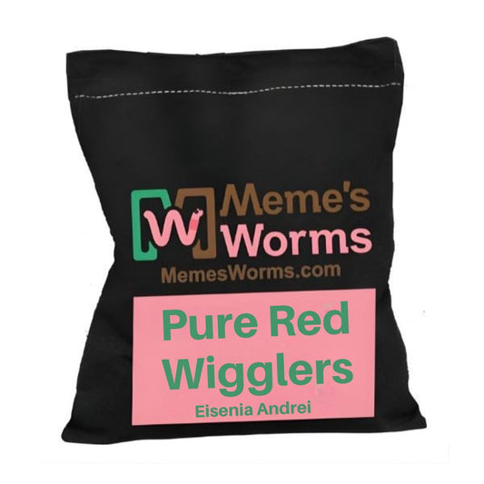 Red Wiggler composting worms, Eisenia Andrei, from Meme's Worms, shown in a natural setting for composting and soil enrichment.