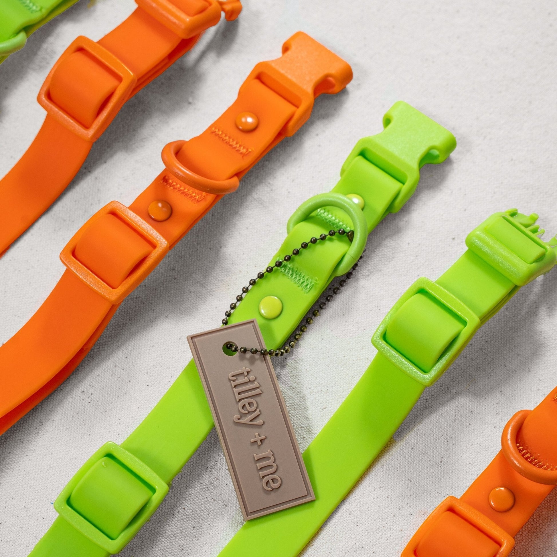 Tilley + Me waterproof PVC dog collar with durable, odor-resistant design, shown with matching leash on a neutral background.