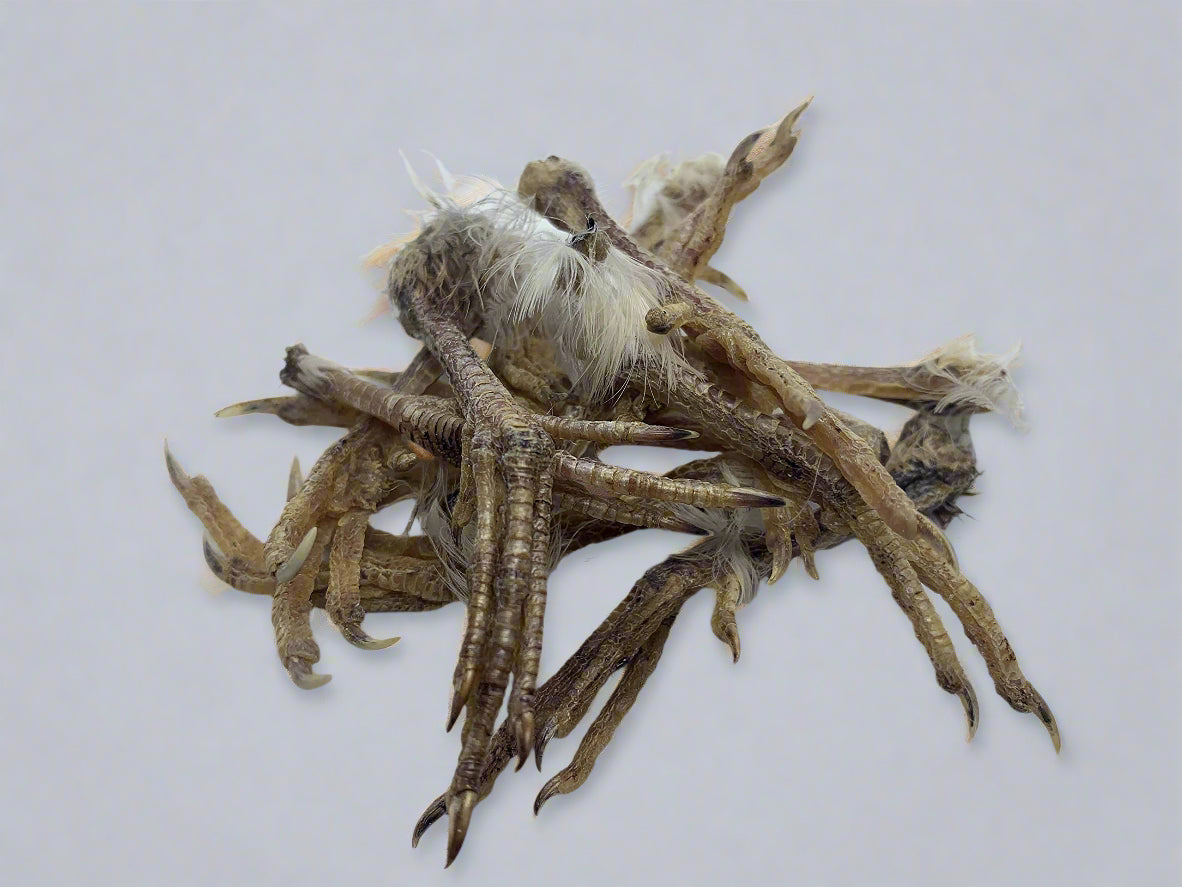 Dog training treat made from quail feet, showing natural quail feet pieces for pet training aid by Quailz.com.