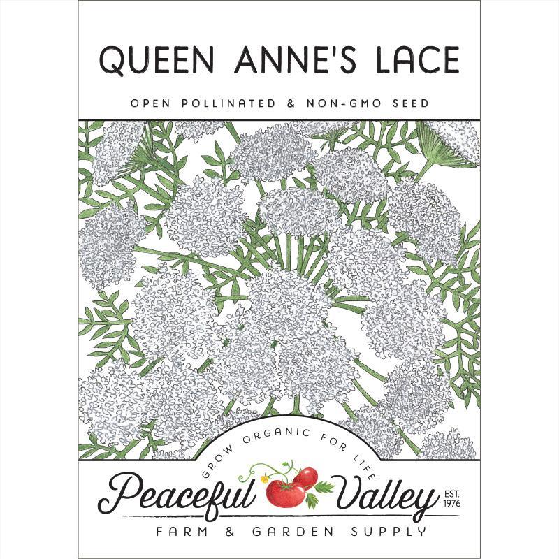 Pack of Grow Organic Queen Anne's Lace flower seeds, featuring delicate white flower clusters on tall, feathery stems.