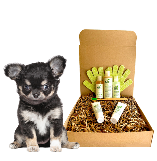 4-FURRY DOGS *SENSITIVE GROOMING KIT - Blessings Grow Meadows