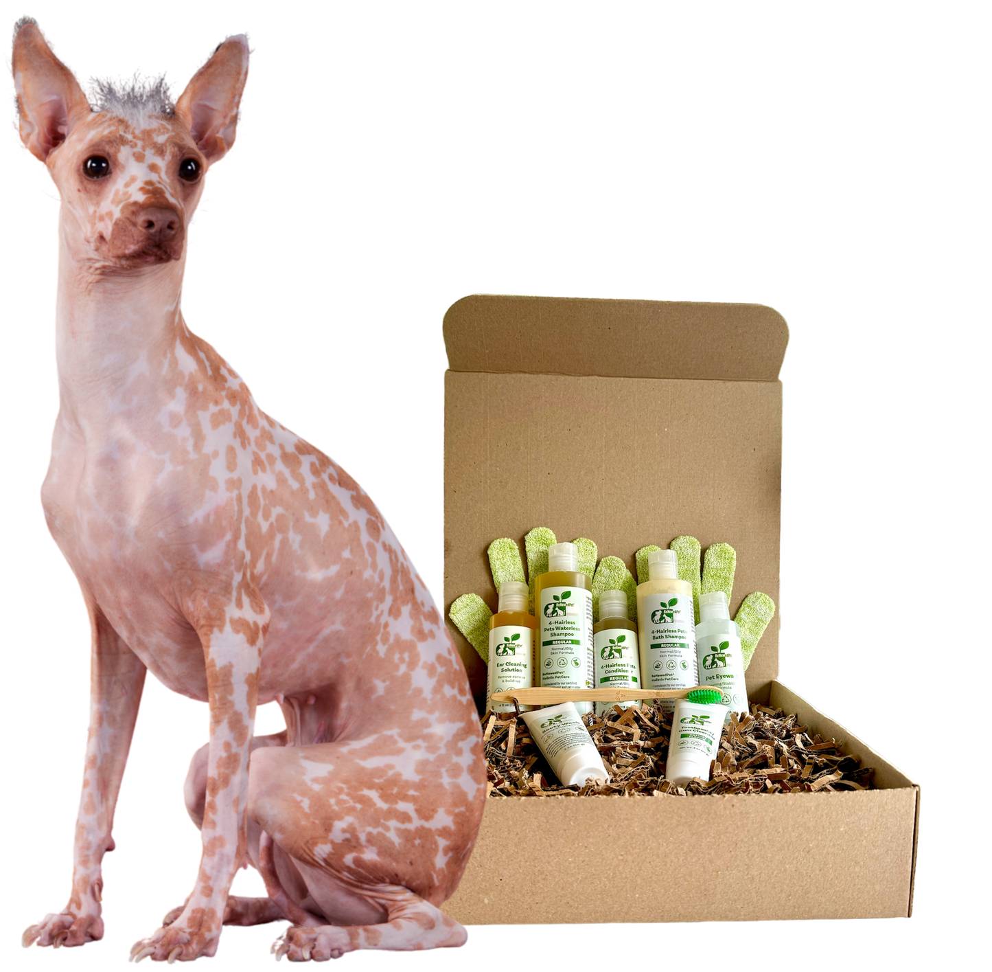 4-HAIRLESS PETS *DOG REGULAR KIT - Blessings Grow Meadows