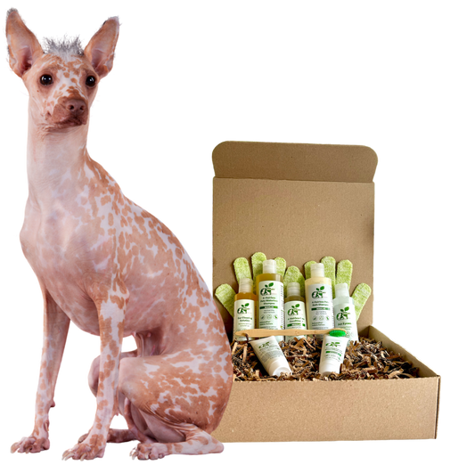 4-HAIRLESS PETS *DOG REGULAR KIT - Blessings Grow Meadows