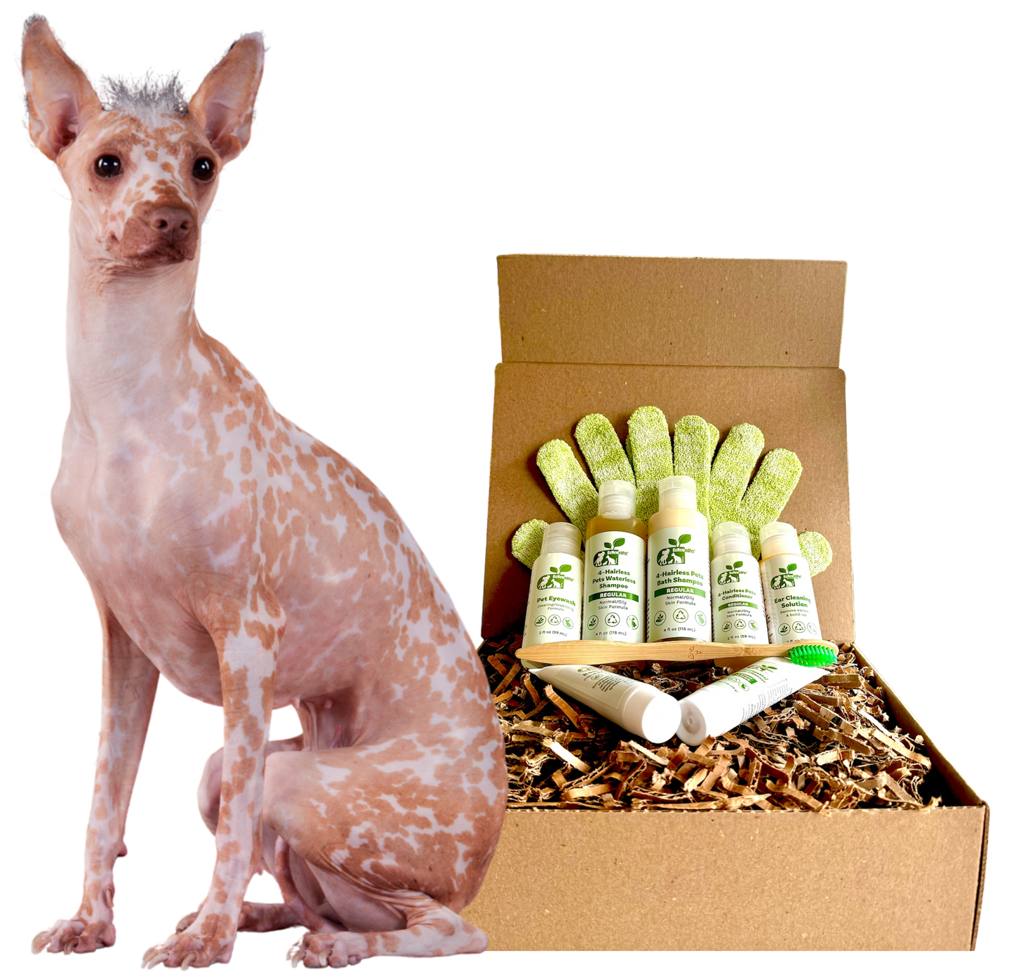 4-HAIRLESS PETS *DOG REGULAR KIT - Blessings Grow Meadows
