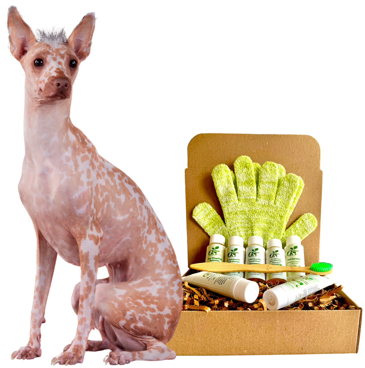 4-HAIRLESS PETS *DOG REGULAR KIT - Blessings Grow Meadows
