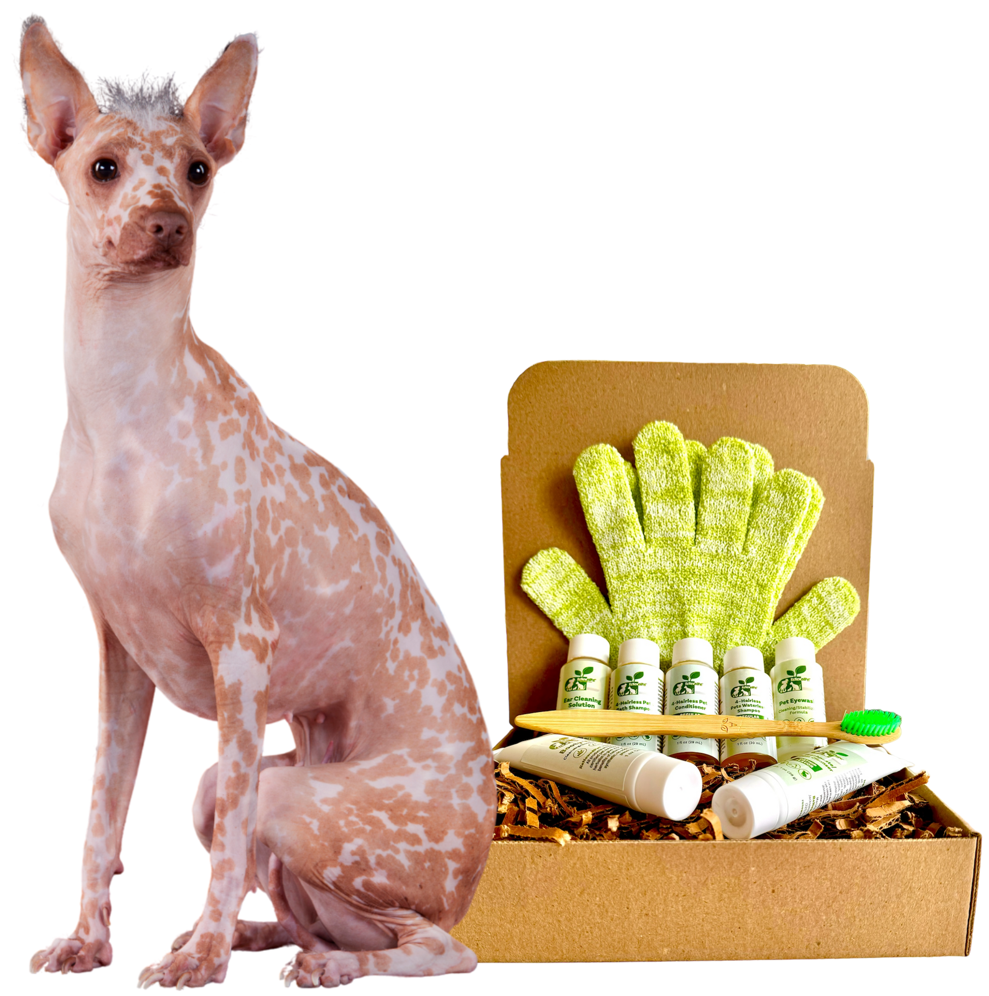 4-HAIRLESS PETS *DOG REGULAR KIT - Blessings Grow Meadows