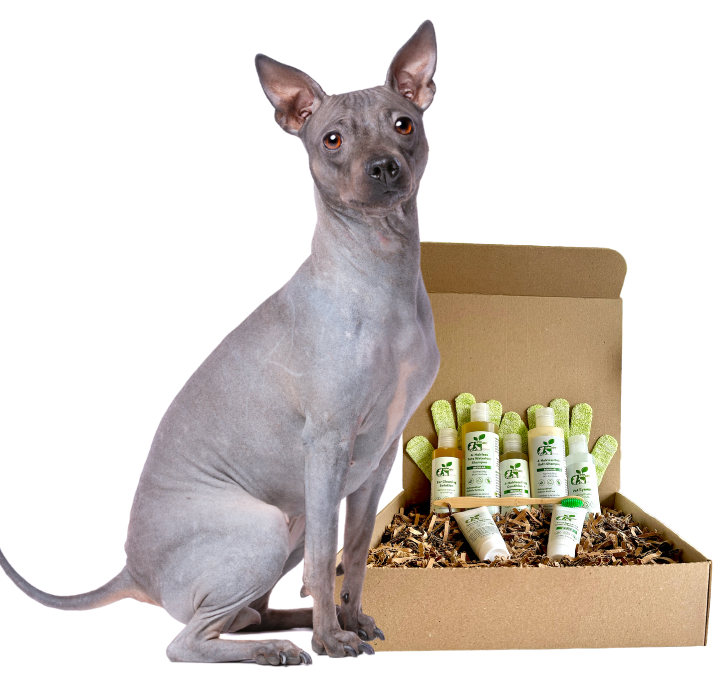 4-HAIRLESS PETS *DOG RESTORATIVE KIT - Blessings Grow Meadows