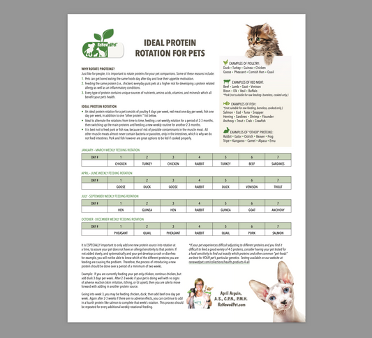 ReNewedPet Ideal Protein Rotation for Pets bag showing the product packaging with brand logo and product name.