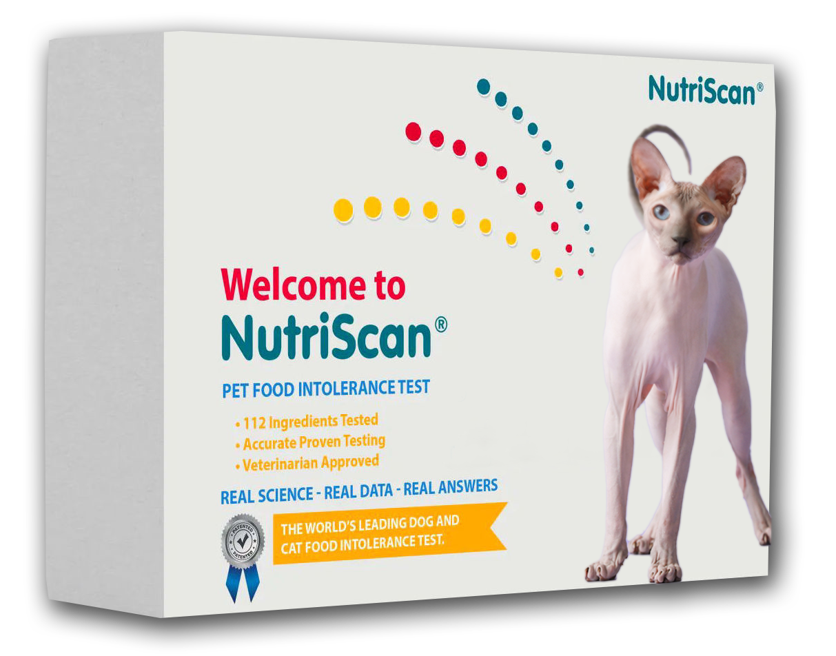 ReNewedPet cat food allergy and sensitivity test kit showing packaging and testing instructions for detecting food allergies in cats.