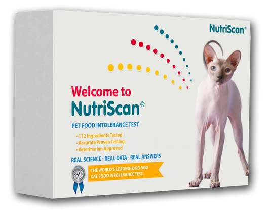 ReNewedPet cat food allergy and sensitivity test kit showing packaging and testing instructions for detecting food allergies in cats.