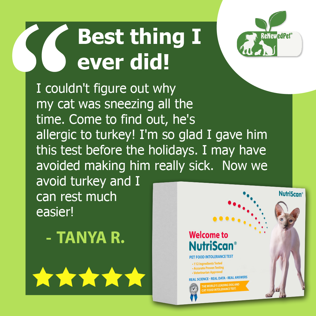 ReNewedPet cat food allergy and sensitivity test kit showing testing materials and instructions for pet allergy detection.