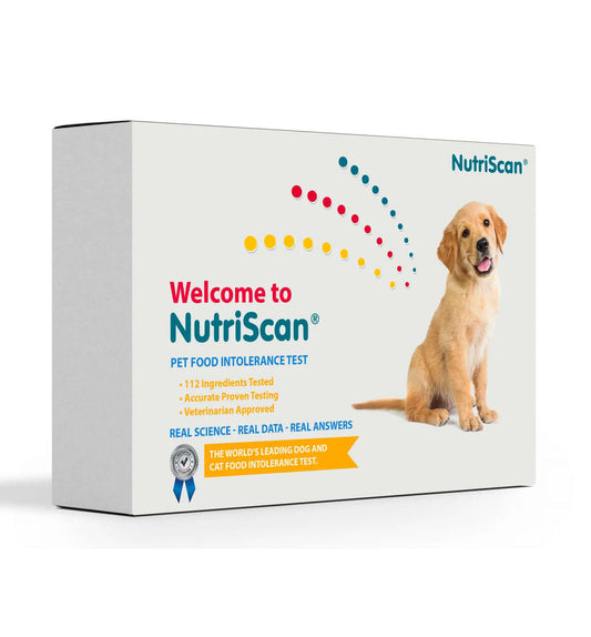ReNewedPet dog food allergy and sensitivity test kit showing packaging and testing instructions for pet health assessment.