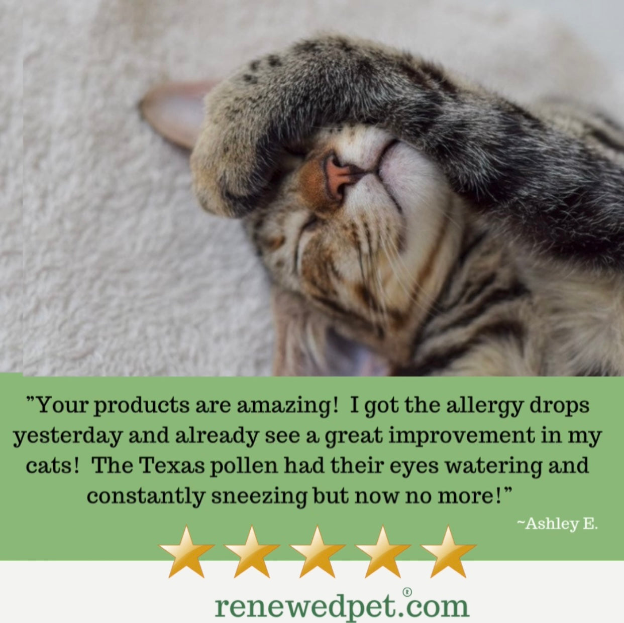 ALLERGY HEALTH/ Allergy-Free Remedy - Blessings Grow Meadows