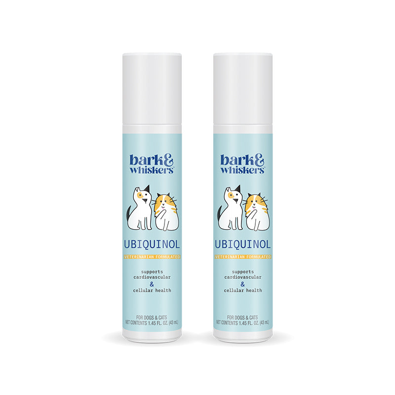 ReNewedPet Cellular Health Ubiquinol supplement for pets in a bottle, promoting pet cellular health and energy.