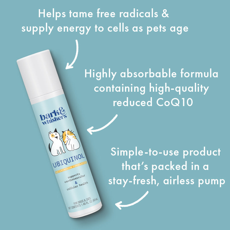 CELLULAR HEALTH /  Ubiquinol For Pets - Blessings Grow Meadows