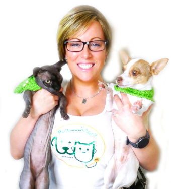 ReNewedPet holistic pet health and behavior consultation with an expert, focusing on overall wellness and behavior support.