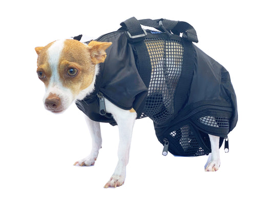 ReNewedPet grooming bag for cats and small dogs, compact and versatile pet grooming bag with multiple compartments.