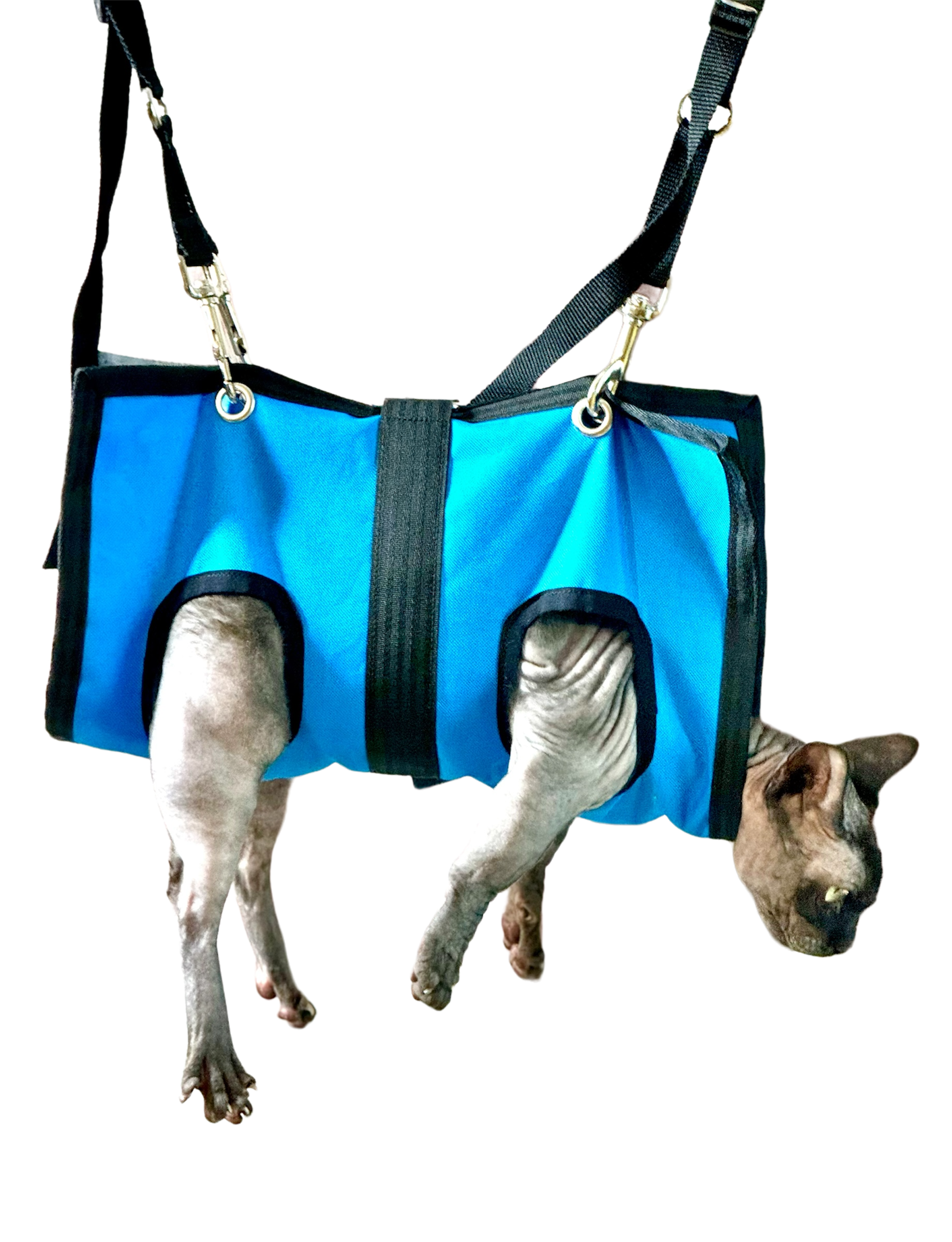 Black pet grooming sling by ReNewedPet, designed for comfortable and secure grooming of small pets.