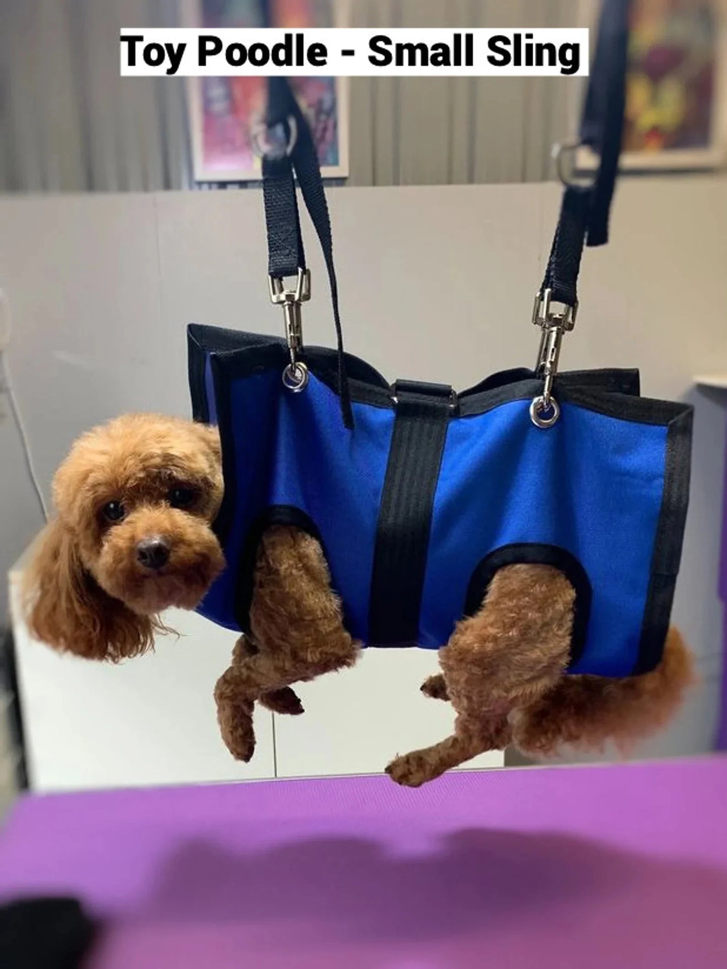 Black ReNewedPet pet grooming sling for small animals, designed for easy and comfortable grooming sessions.