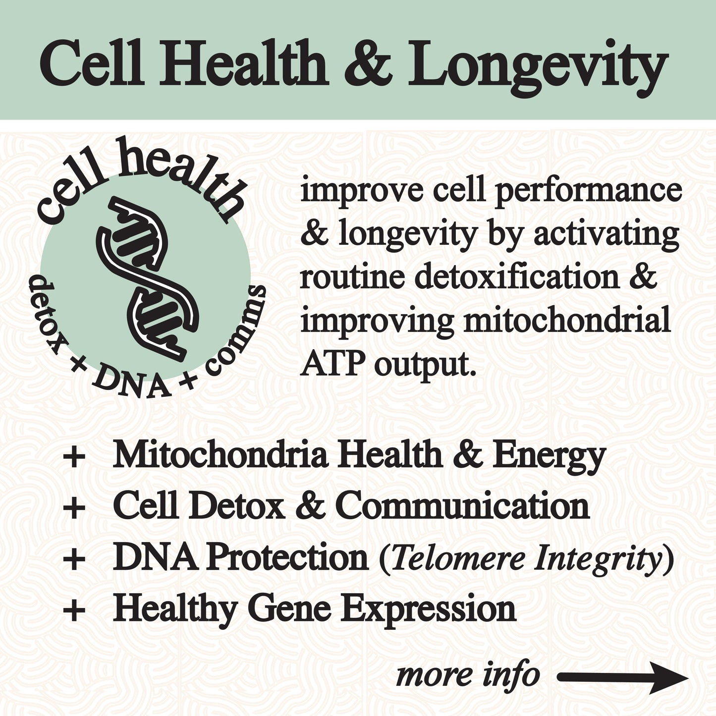 inflammation tincture. - Blessings Grow Meadows