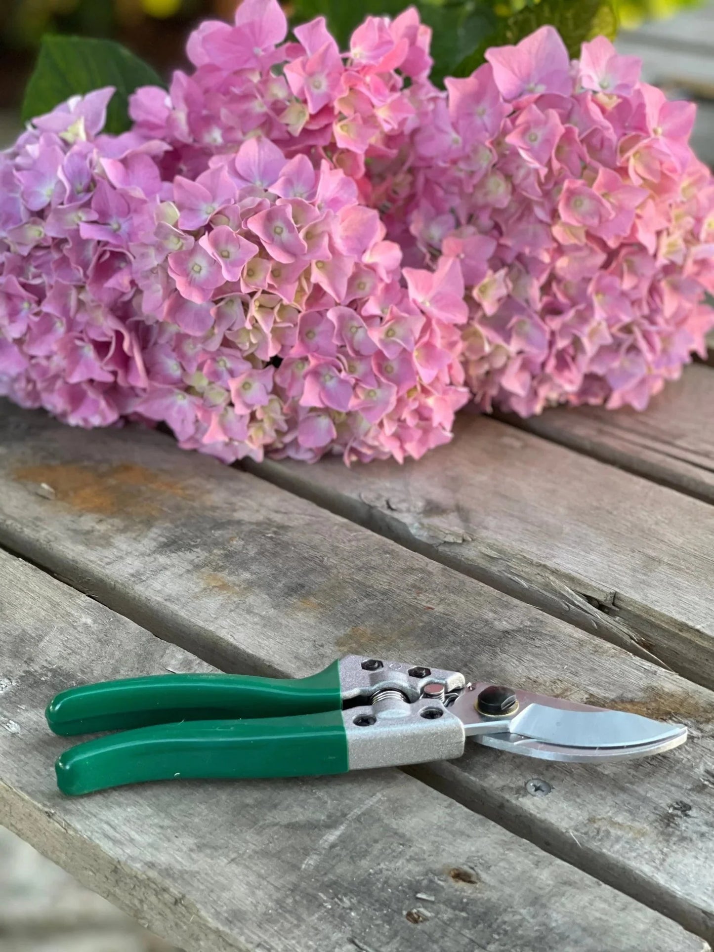 Rose Gardener Gift Box | Rose Gloves, Belt & Pruners - Blessings Grow Meadows