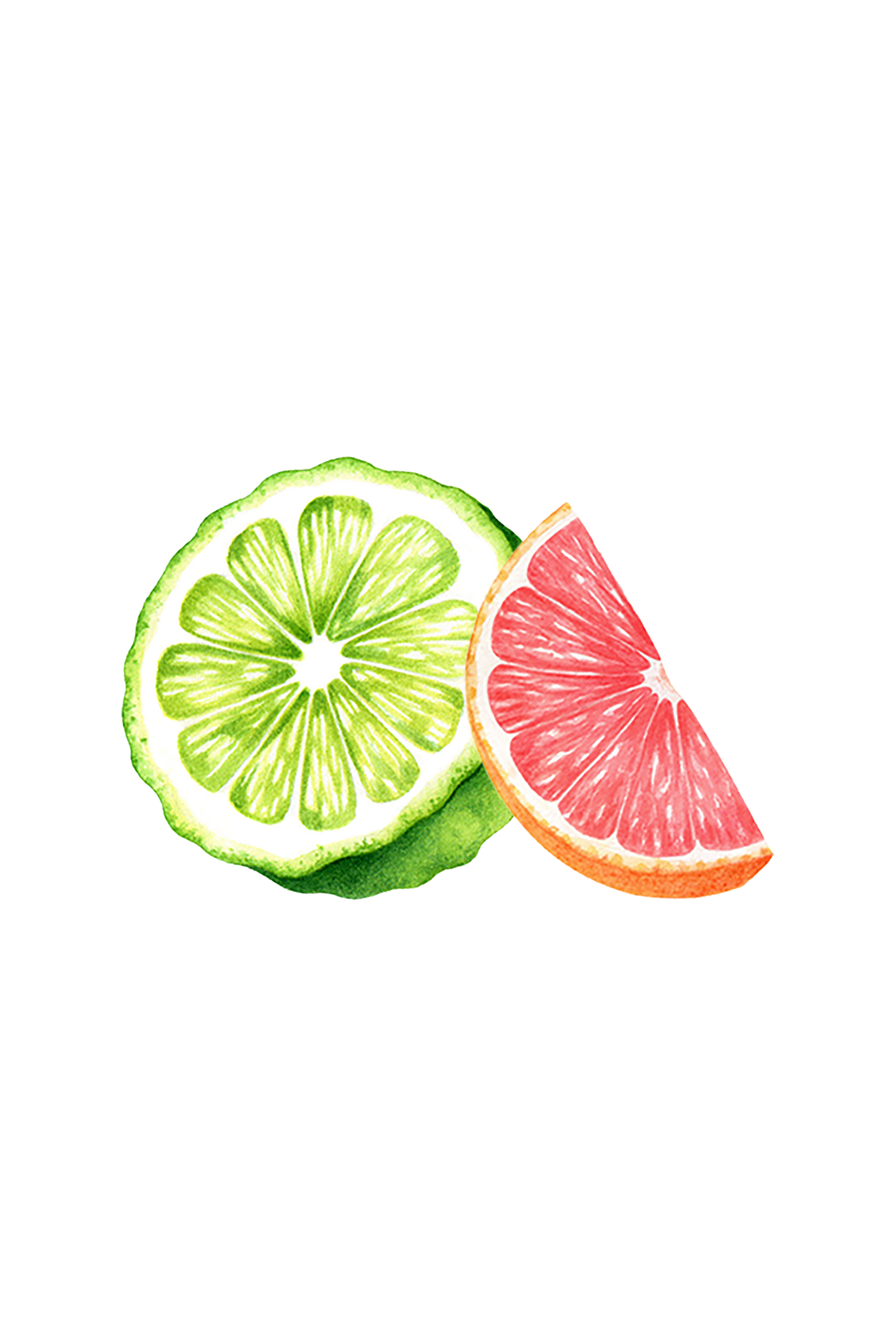 Epsom Salt Soak | Bergamot & Grapefruit - Blessings Grow Meadows