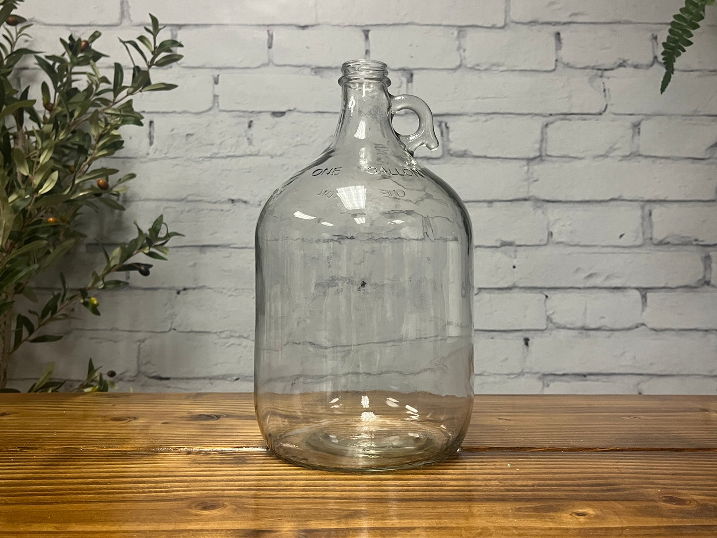 The Rustic Strength 1 Gallon Glass Jug with Cap sits on a wooden surface before a white brick wall, flanked by green plants. Get yours now—limited stock available!.