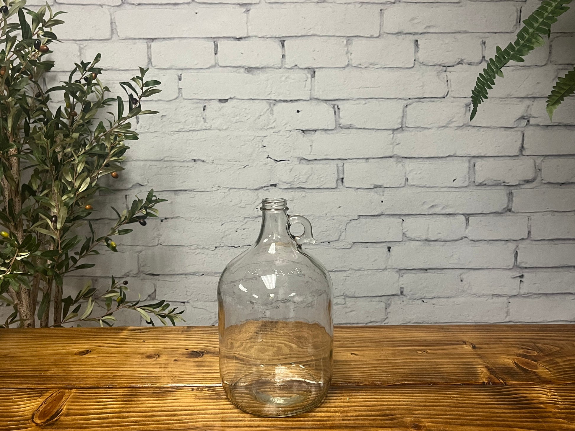 The Rustic Strength 1 Gallon Glass Jug with Cap is displayed on a wooden table against a white brick wall, flanked by green leafy plants.