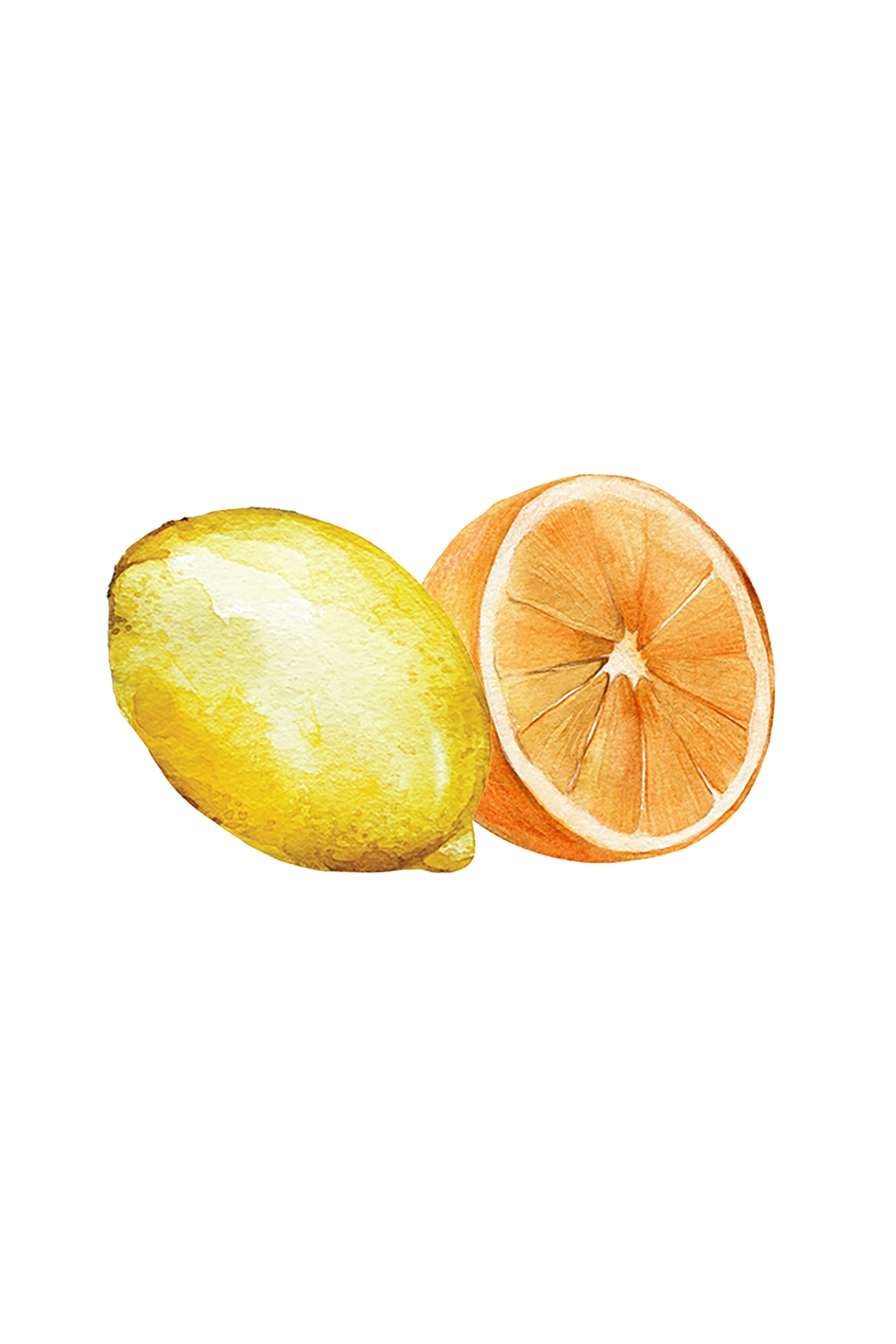 Watercolor illustration of a yellow lemon and a halved pink grapefruit on black, inspired by Rustic Strength’s Hand Soap | Citrus Bliss.