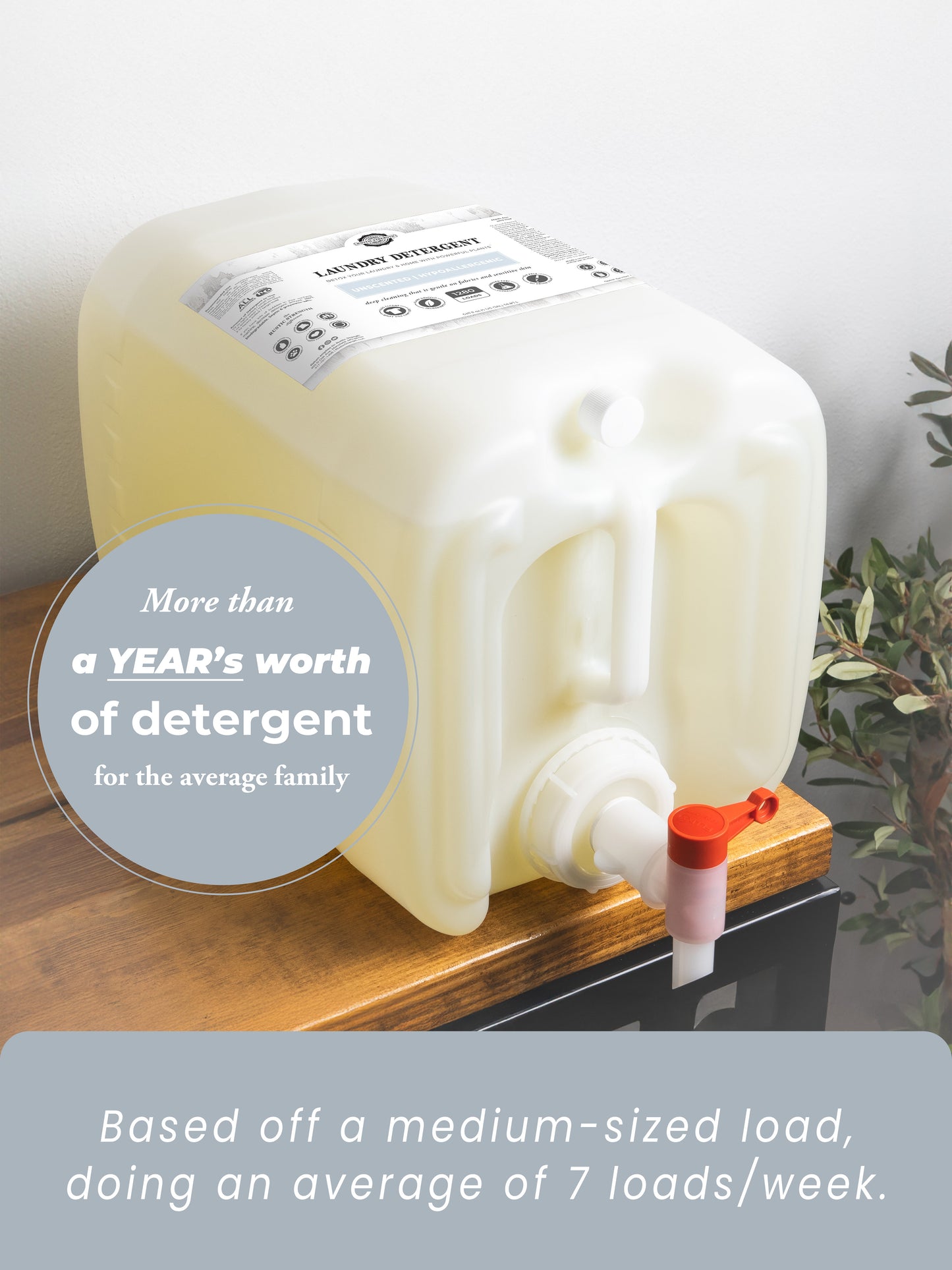 A large white container of Rustic Strength Laundry Detergent | Unscented, biodegradable, sits on a wooden surface. The label notes it’s over a years supply for an average family doing 7 medium loads weekly. A plant is partly visible on the right.