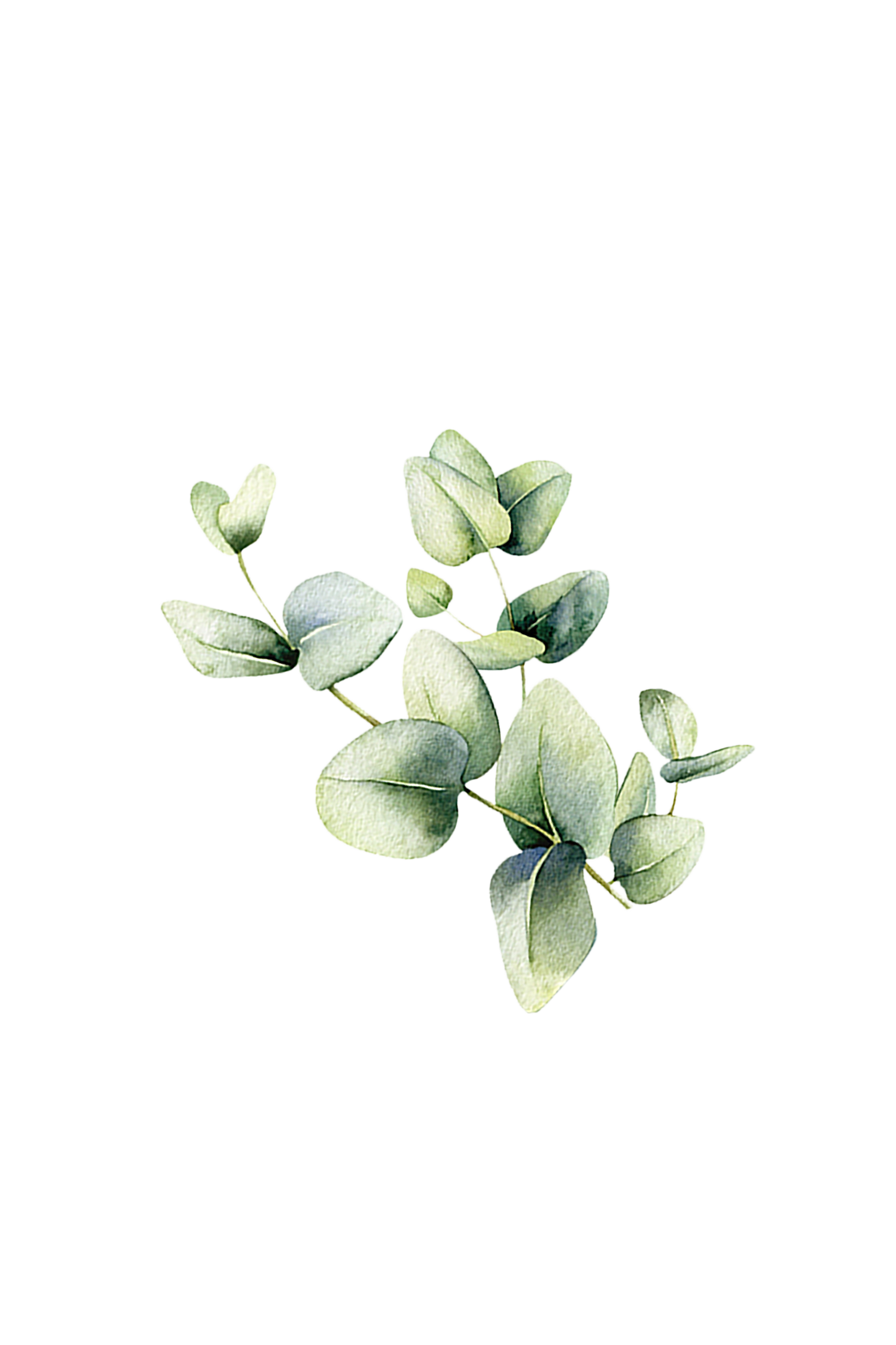 Rustic Strength eucalyptus room spray bottle, natural scent diffuser with green and white design, ideal for freshening indoor spaces.