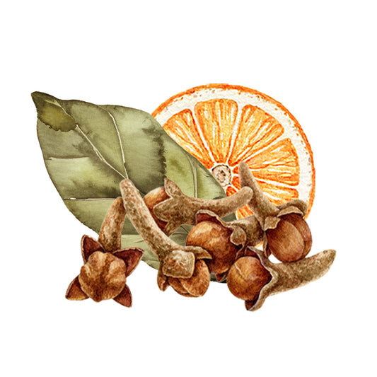 A watercolor illustration for Rustic Strength’s Bay Spice Essential Oil Blend features dried cloves, a bay leaf, and a slice of dried orange, artfully arranged on a white background.