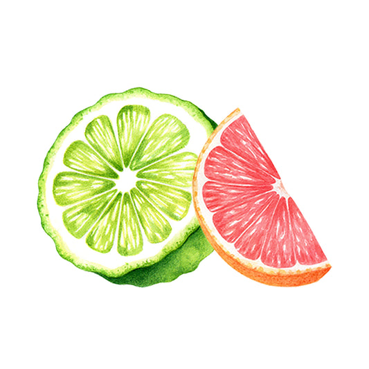 Rustic Strengths Bergamot & Grapefruit Essential Oil Blend features a watercolor of a green citrus slice and red grapefruit wedge on white, capturing the fresh, uplifting energy of aromatherapy.